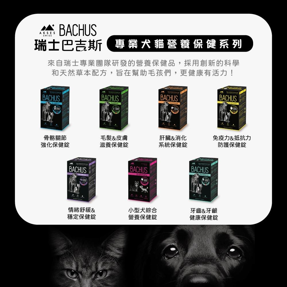 【免運 !】【BACHUS瑞士巴吉斯】 骨骼關節強化保健錠丨專業犬貓營養保健系列 狗狗關節保健 貓咪關節保健 薑黃軟骨素-細節圖2