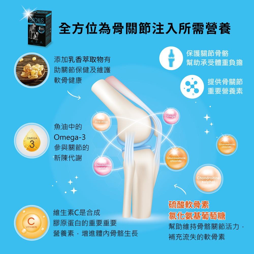 【免運 !】【BACHUS瑞士巴吉斯】 骨骼關節強化保健錠丨專業犬貓營養保健系列 狗狗關節保健 貓咪關節保健 薑黃軟骨素-細節圖3