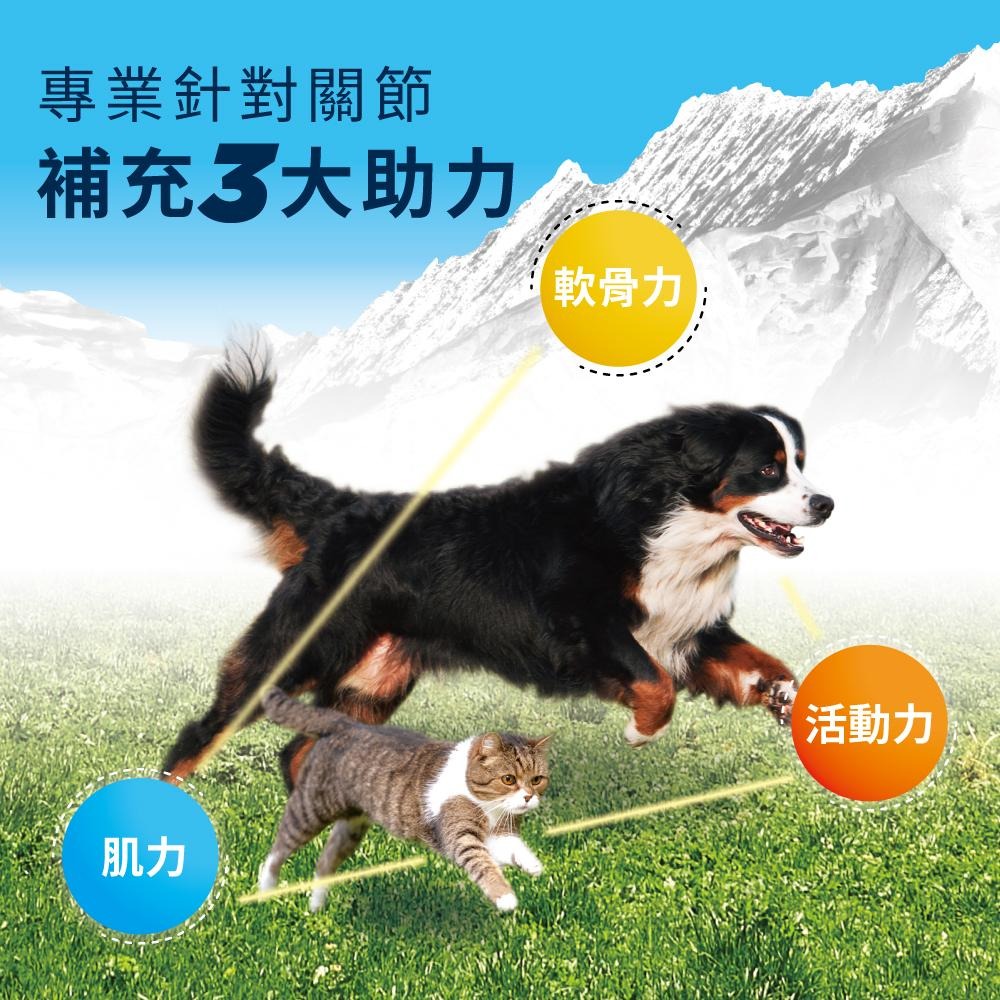 【免運 !】【BACHUS瑞士巴吉斯】 骨骼關節強化保健錠丨專業犬貓營養保健系列 狗狗關節保健 貓咪關節保健 薑黃軟骨素-細節圖4