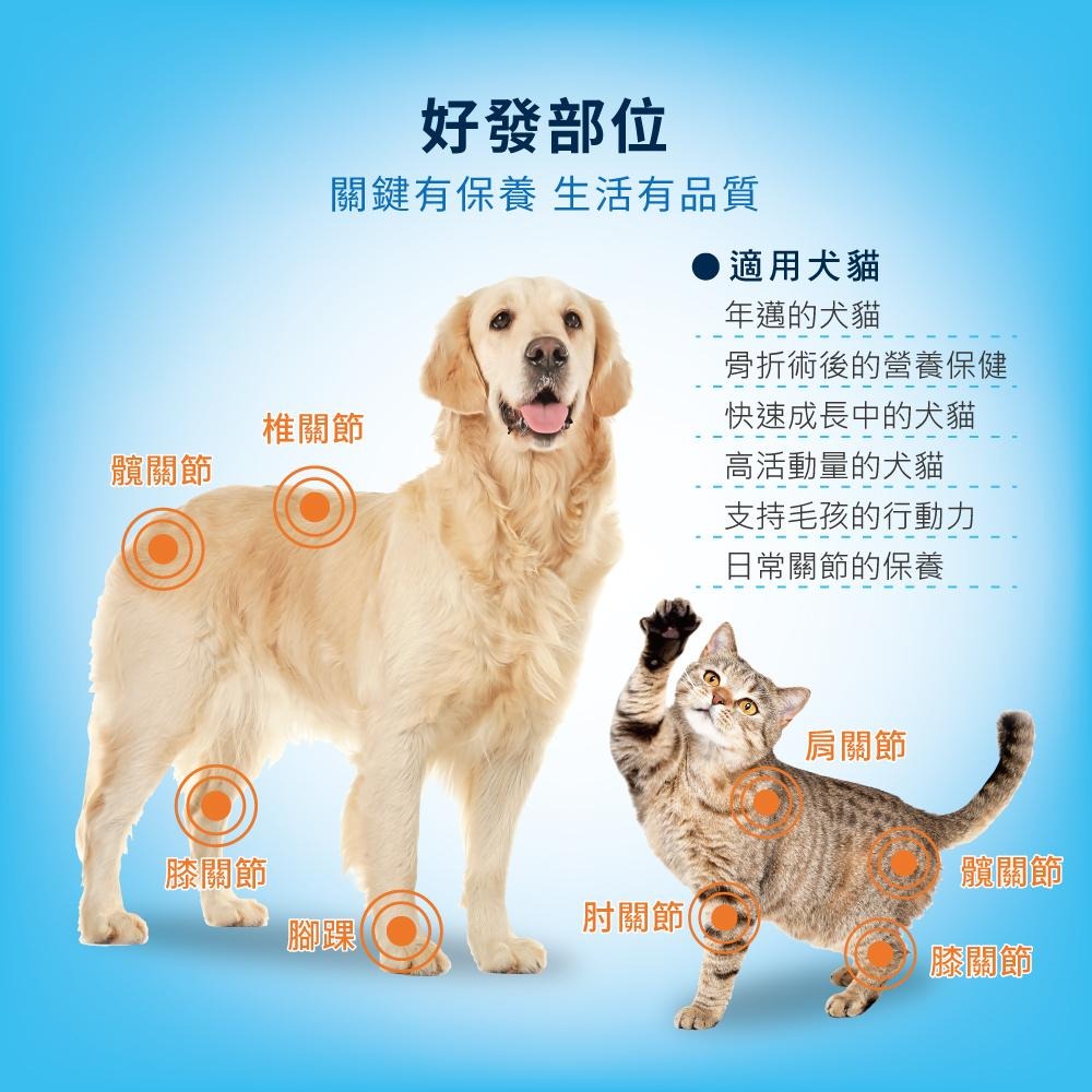 【免運 !】【BACHUS瑞士巴吉斯】 骨骼關節強化保健錠丨專業犬貓營養保健系列 狗狗關節保健 貓咪關節保健 薑黃軟骨素-細節圖5