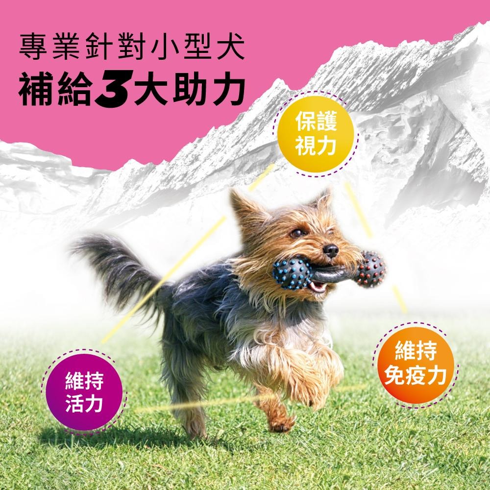 【免運 !】【BACHUS瑞士巴吉斯】 專業犬貓營養保健系列丨狗狗保健錠 貓咪保健錠 寵物保健 骨骼關節 毛髮皮膚 消化-細節圖3