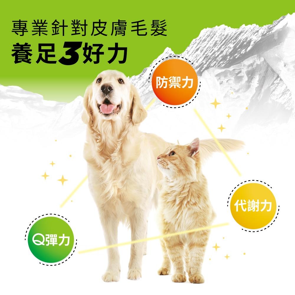 【免運 !】【BACHUS瑞士巴吉斯】 專業犬貓營養保健系列丨狗狗保健錠 貓咪保健錠 寵物保健 骨骼關節 毛髮皮膚 消化-細節圖4