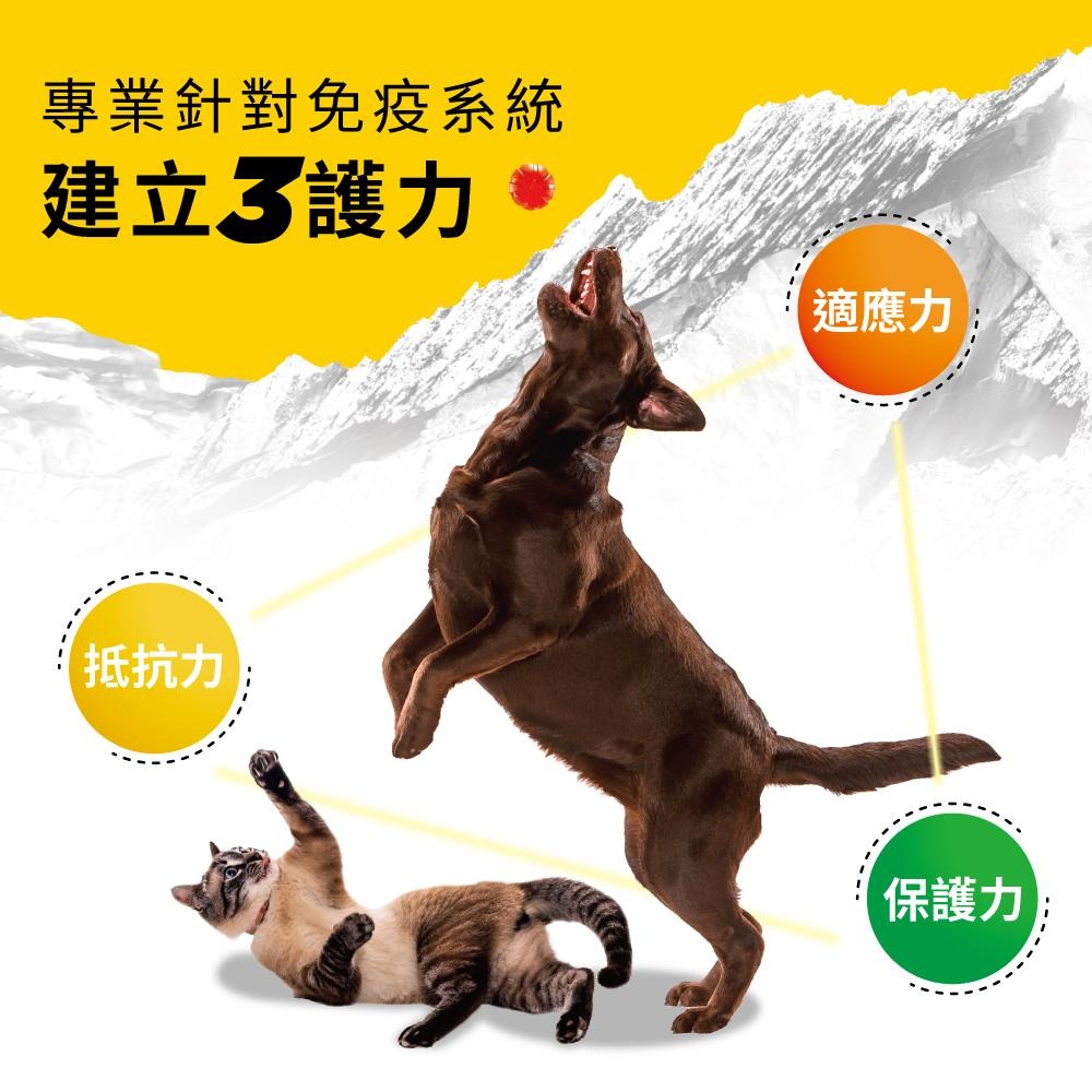 【免運 !】【BACHUS瑞士巴吉斯】 專業犬貓營養保健系列丨狗狗保健錠 貓咪保健錠 寵物保健 骨骼關節 毛髮皮膚 消化-細節圖6