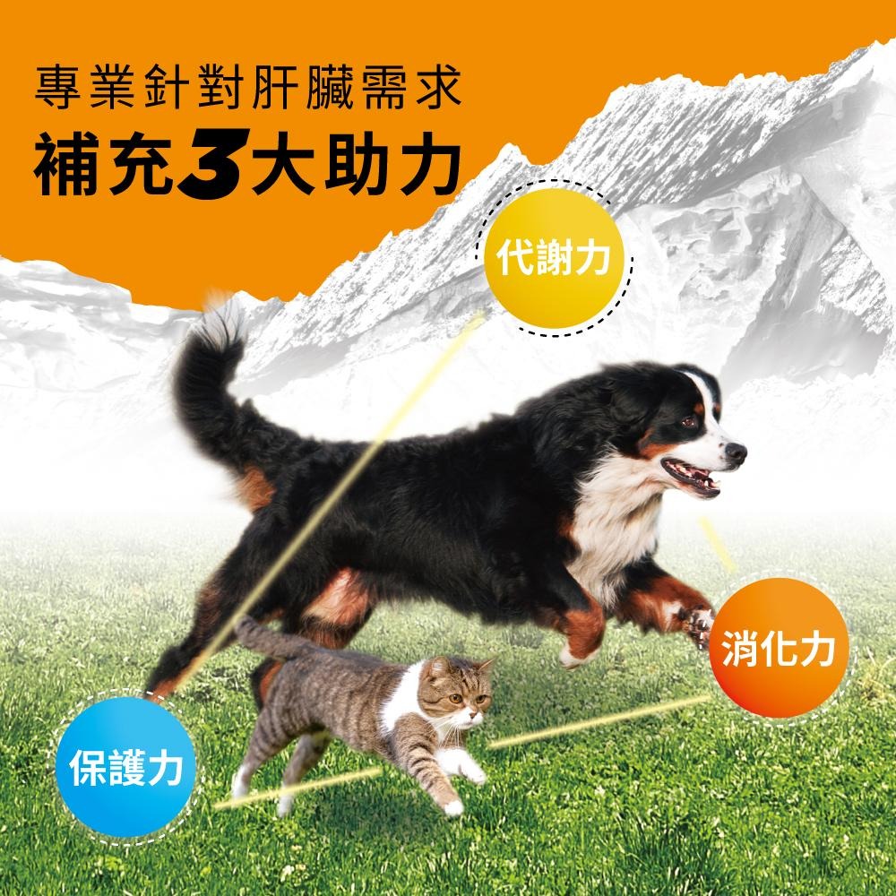 【免運 !】【BACHUS瑞士巴吉斯】 專業犬貓營養保健系列丨狗狗保健錠 貓咪保健錠 寵物保健 骨骼關節 毛髮皮膚 消化-細節圖7