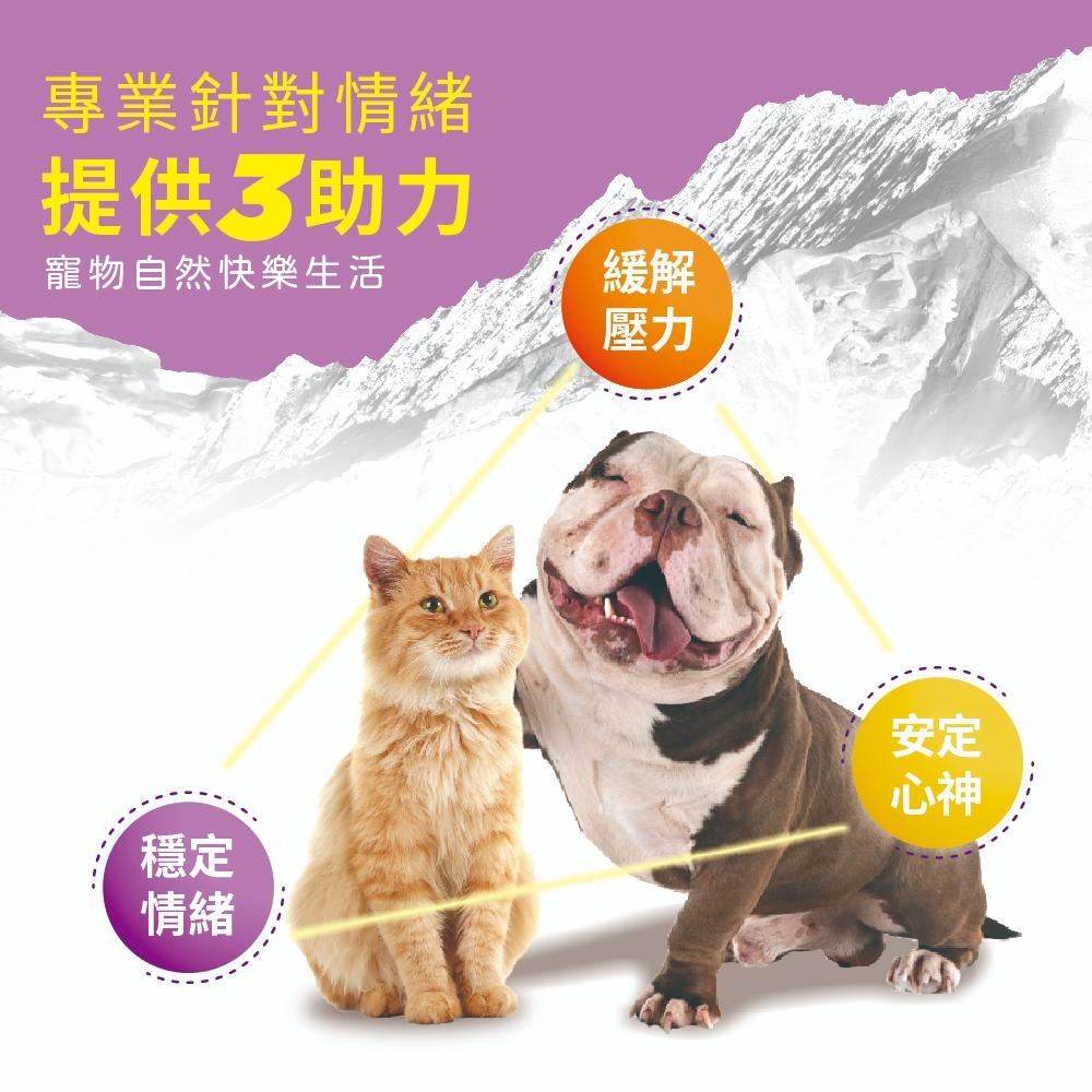 【免運 !】【BACHUS瑞士巴吉斯】 專業犬貓營養保健系列丨狗狗保健錠 貓咪保健錠 寵物保健 骨骼關節 毛髮皮膚 消化-細節圖8