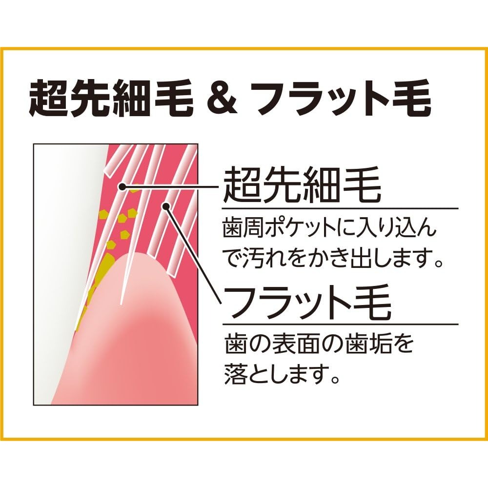 日本製 EBISU 7列48孔軟毛牙刷 顏色隨機 日本 7列 超纖細 軟毛 寛頭牙刷 超纖細毛-細節圖5
