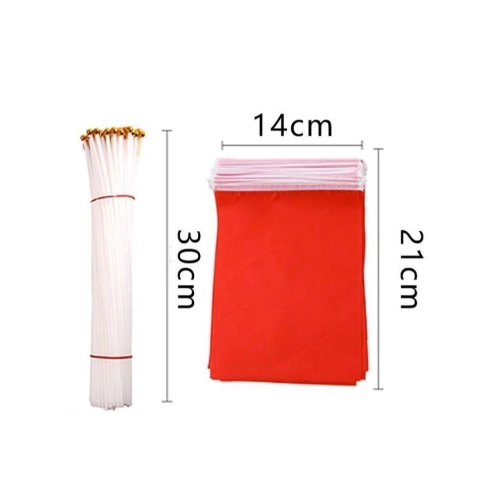 雙十國慶國旗彩繪組-細節圖2