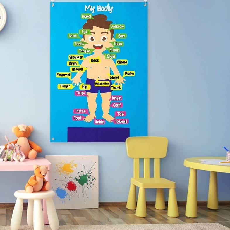 不織布身體認知牆面佈置掛飾組／④ 環境佈置品-細節圖3