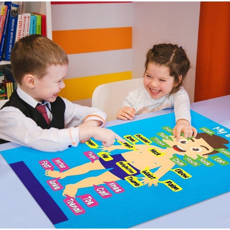 不織布身體認知牆面佈置掛飾組／④ 環境佈置品-細節圖4