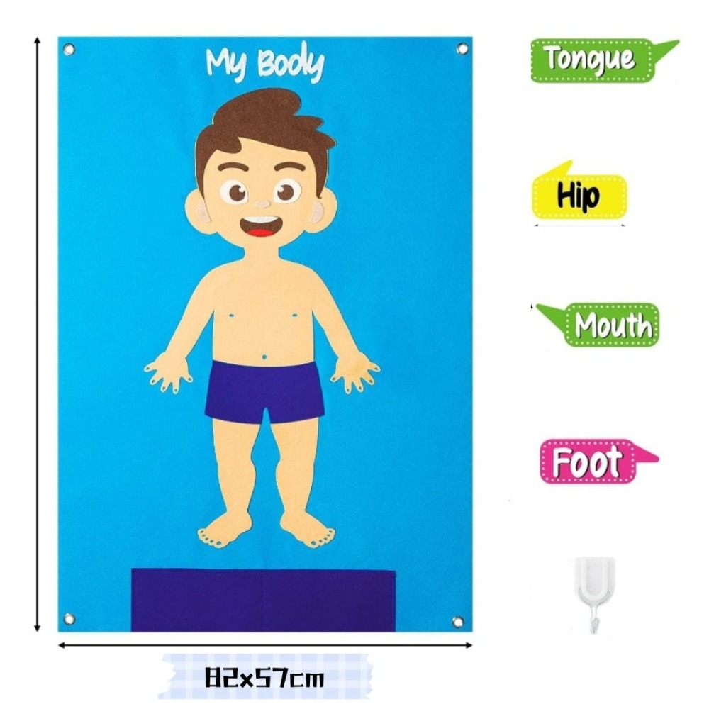 不織布身體認知牆面佈置掛飾組／④ 環境佈置品-規格圖7