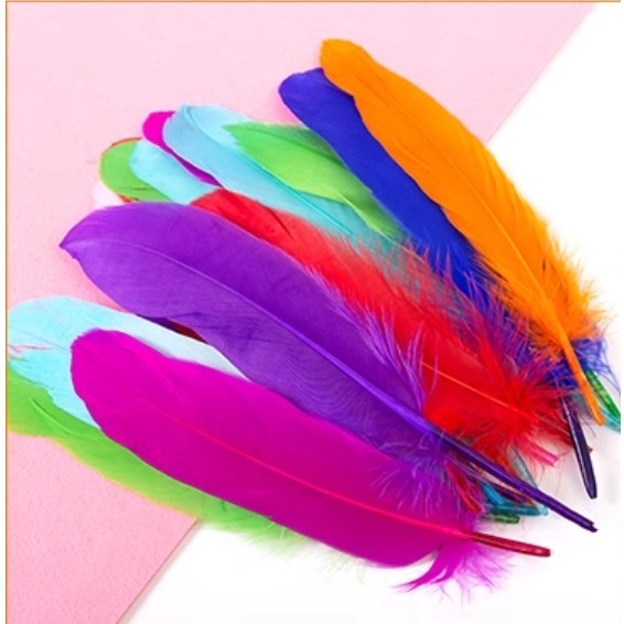 彩色羽毛素材(100支)-細節圖6