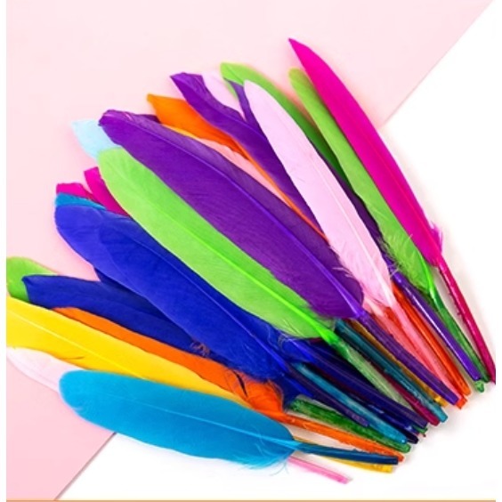 彩色羽毛素材(100支)-規格圖6
