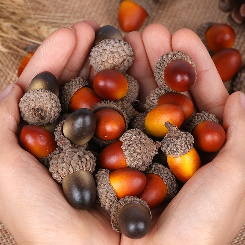 植物造型橡樹果模型(20顆)-細節圖2