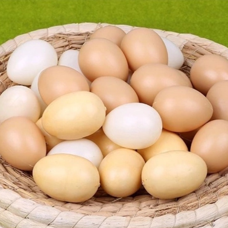 雞蛋鴨蛋仿真模型(２0顆)-細節圖3