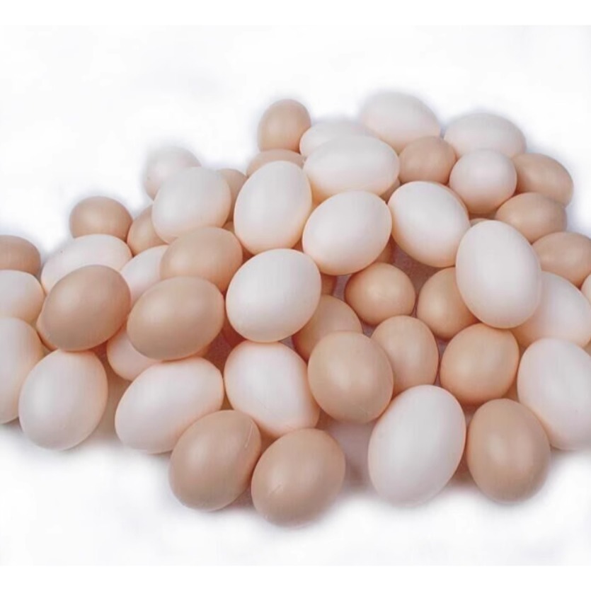 雞蛋鴨蛋仿真模型(２0顆)-規格圖6