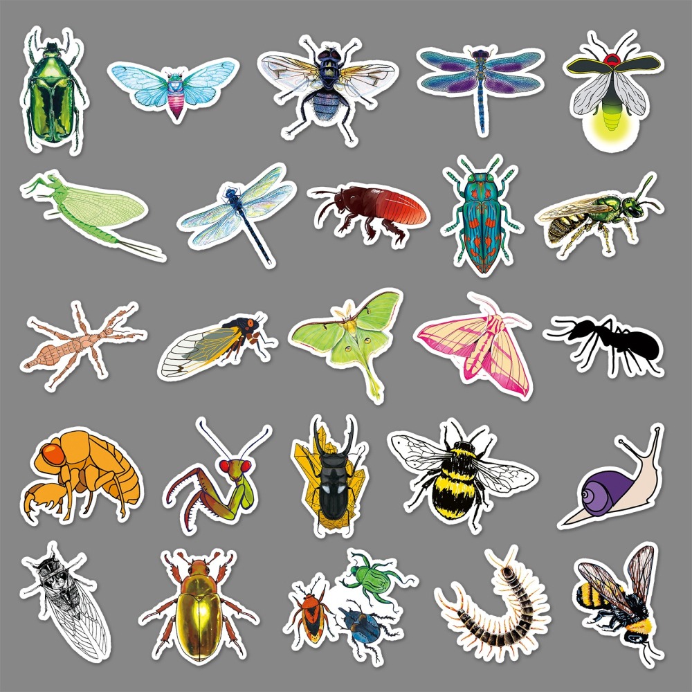 昆蟲甲蟲螢火蟲瓢蟲蝴蝶主題防水貼紙 #572(50張)-細節圖4