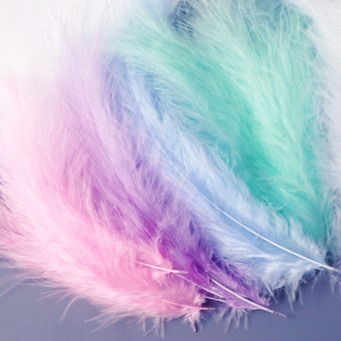 馬卡龍色補夢網中飄羽毛 (100支)-細節圖2