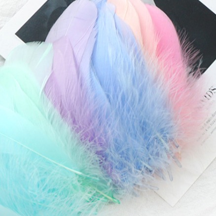 馬卡龍色補夢網中飄羽毛 (100支)-細節圖3