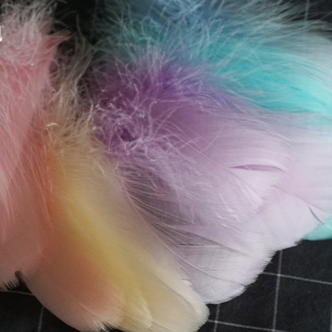 馬卡龍色補夢網中飄羽毛 (100支)-細節圖4