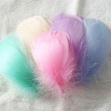 馬卡龍色補夢網中飄羽毛 (100支)-規格圖7