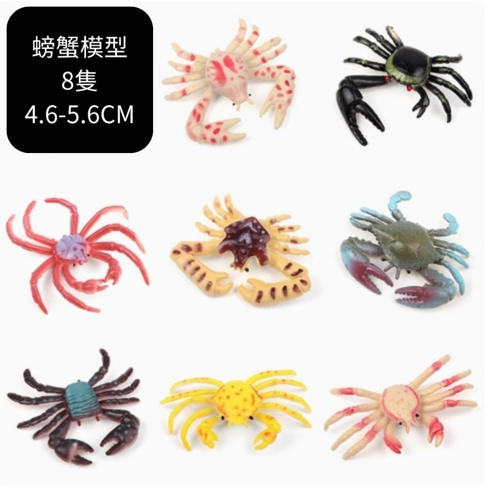 螃蟹烏龜模型(8隻-規格圖1