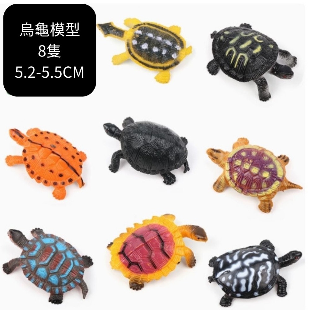 烏龜8隻