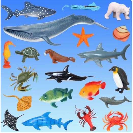 海洋動物模型組-細節圖2