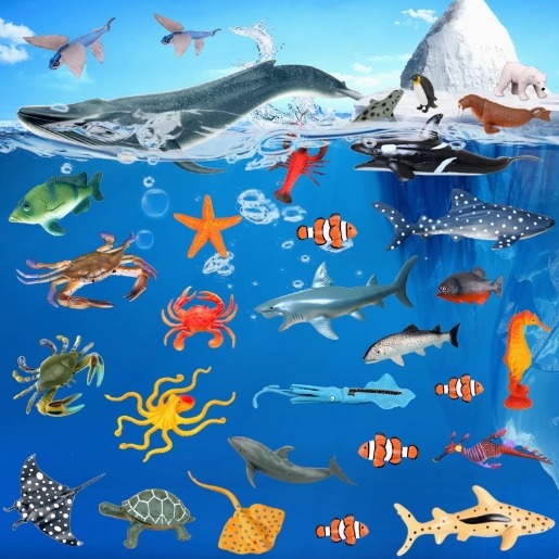 海洋動物模型組-細節圖4