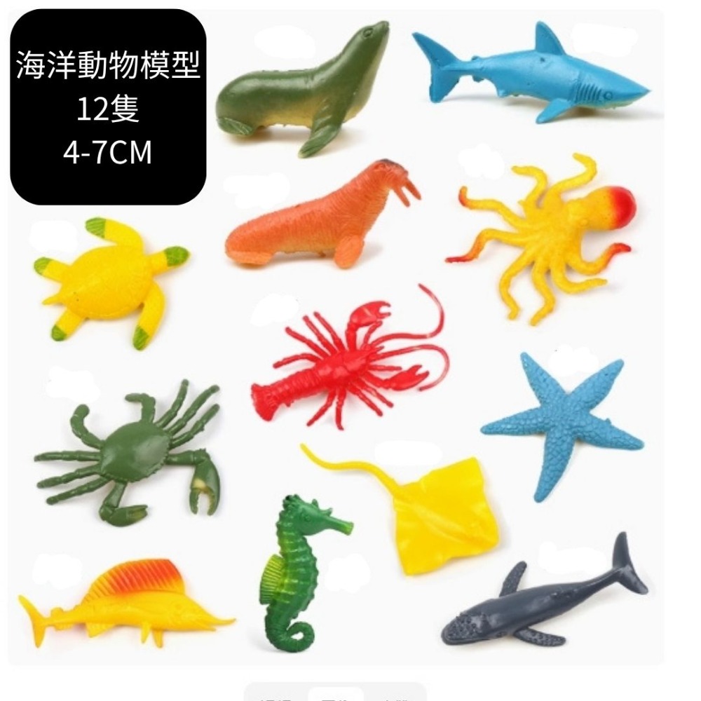 海洋動物模型組／⑤ 活動道具-規格圖4