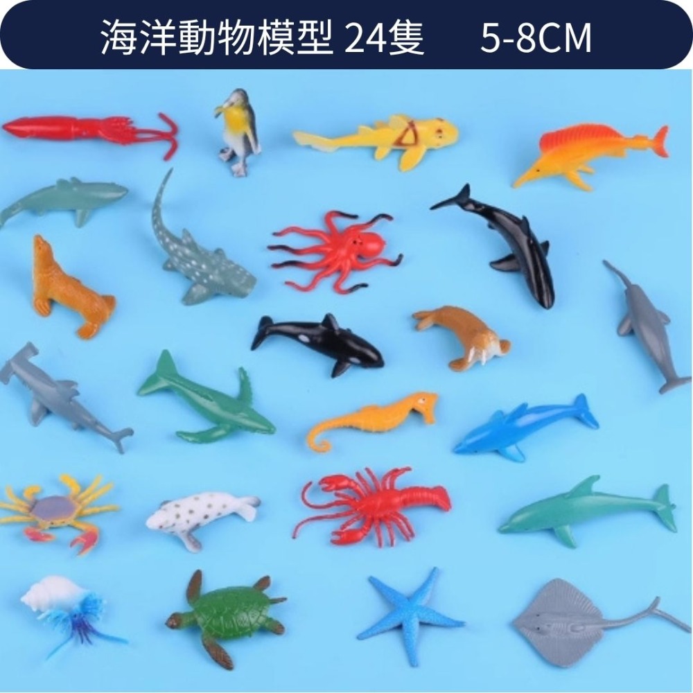 海洋動物模型組／⑤ 活動道具-規格圖4