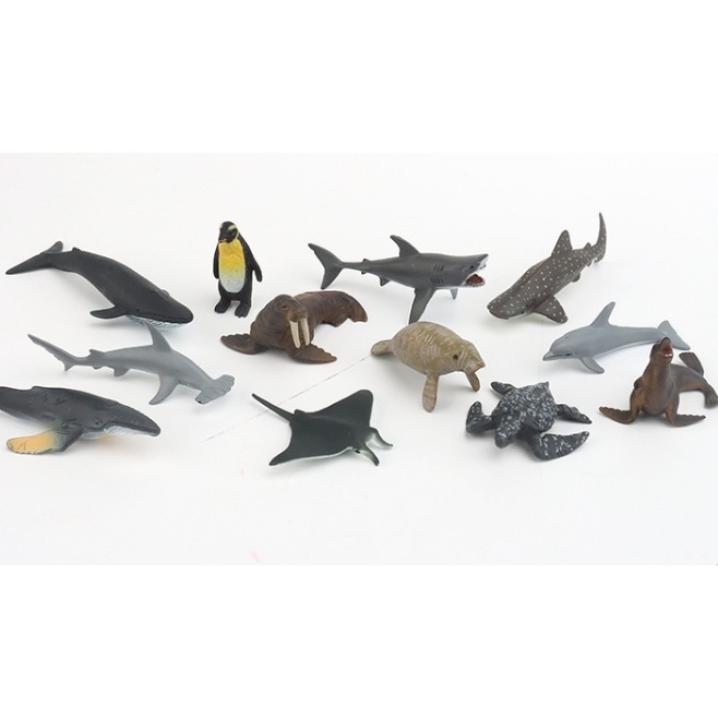 海洋動物模型英文字卡組-細節圖2