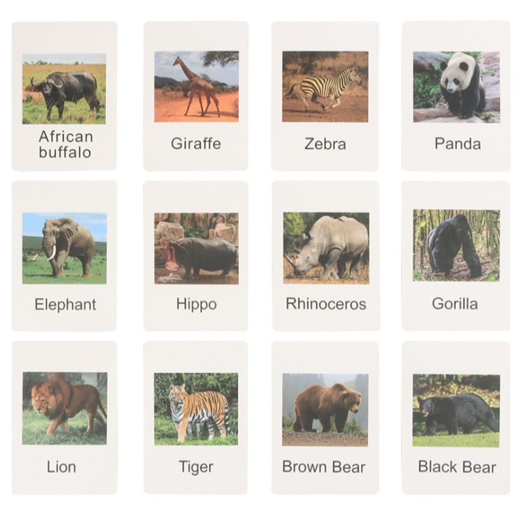 陸地動物模型英文字卡組-細節圖4