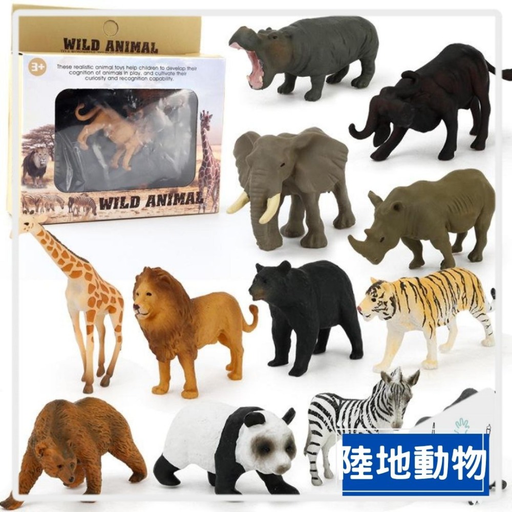 陸地動物模型英文字卡組-規格圖6