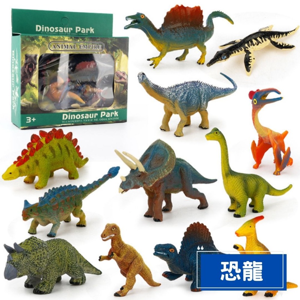 陸地動物模型英文字卡組／⑤ 活動道具-規格圖6