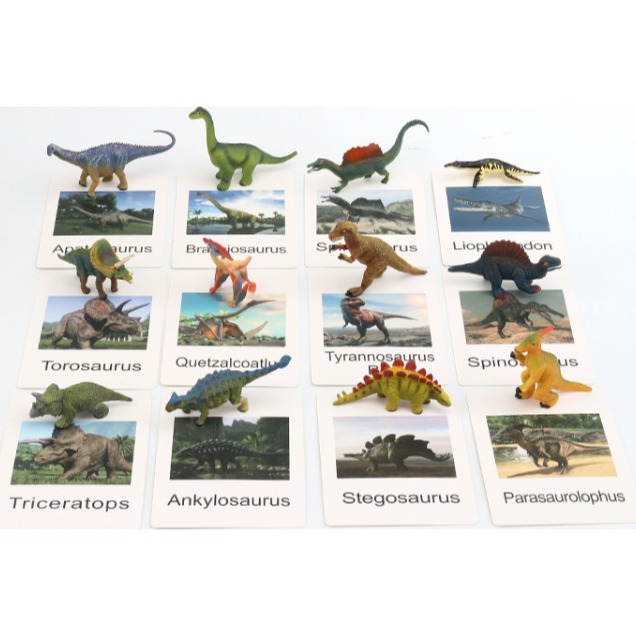 恐龍模型英文字卡組-細節圖3