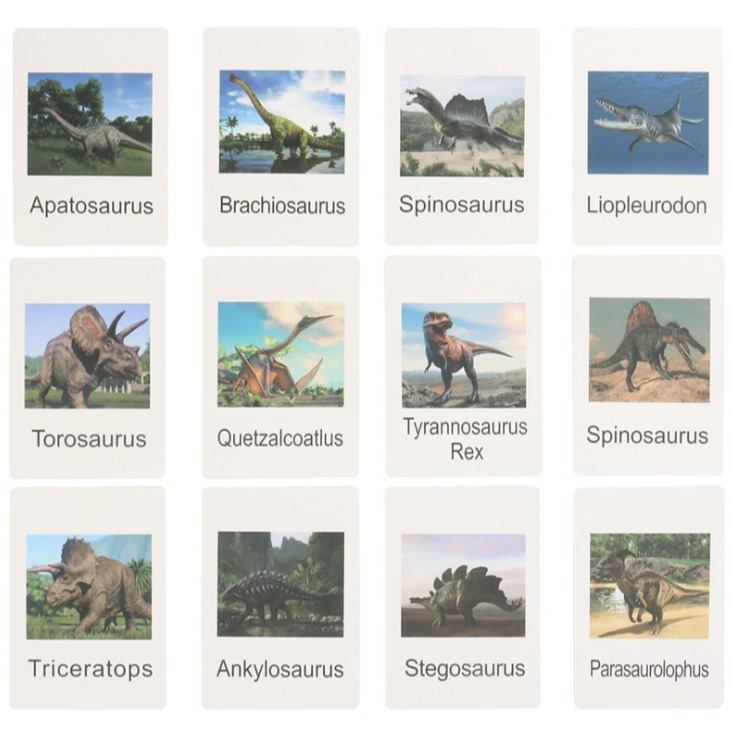 恐龍模型英文字卡組-細節圖5