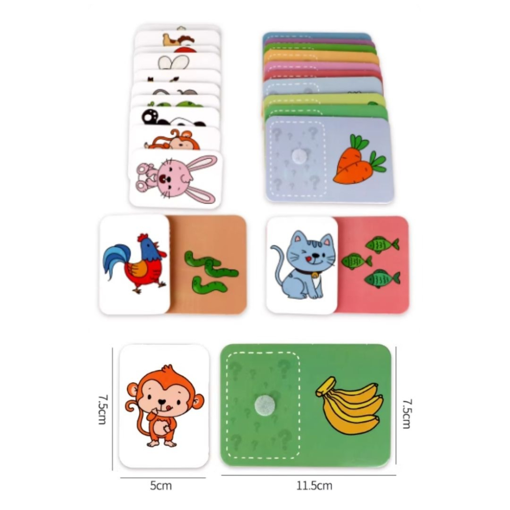 動物吃什麼食物／⑤ 活動道具-細節圖3