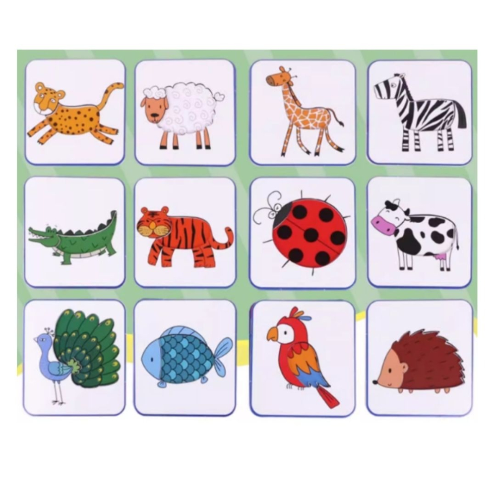 動物皮毛配對卡⑤ 活動道具-細節圖2