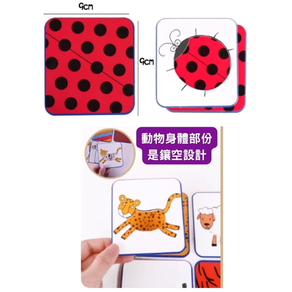 動物皮毛配對卡⑤ 活動道具-細節圖3