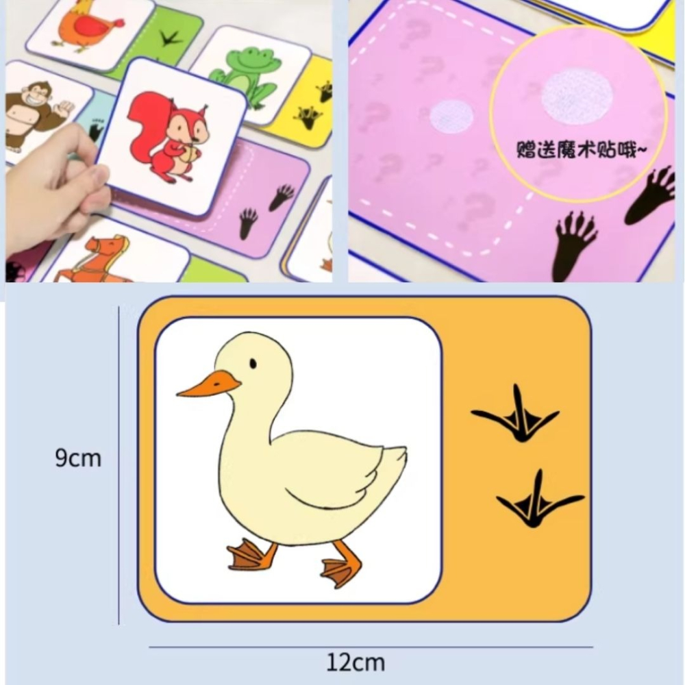 動物腳印配對組／⑤ 活動道具-細節圖3