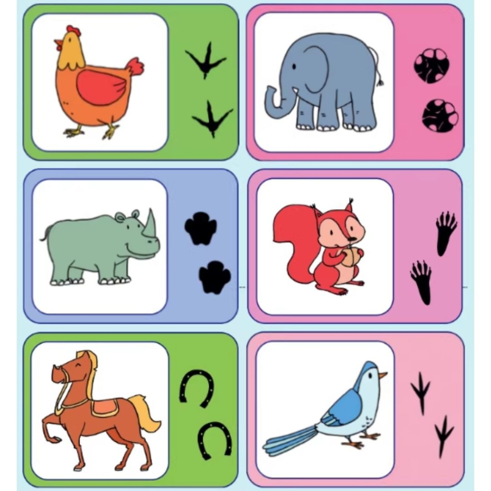 動物腳印配對組／⑤ 活動道具-細節圖4