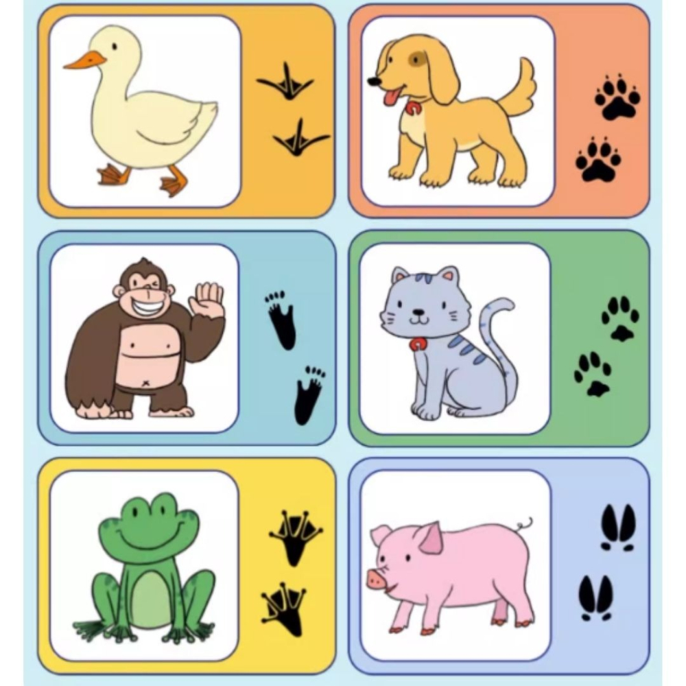 動物腳印配對組／⑤ 活動道具-細節圖5