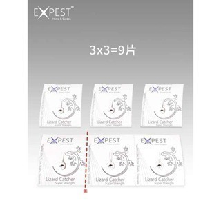 壁虎神器 壁虎驅趕家用 無毒防壁虎克星室內驅壁虎 戶外壁虎神器 壁虎粘-細節圖3