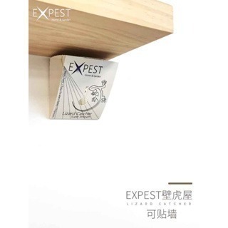 壁虎神器 壁虎驅趕家用 無毒防壁虎克星室內驅壁虎 戶外壁虎神器 壁虎粘-細節圖5