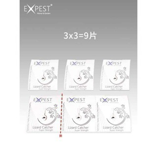 壁虎神器 壁虎驅趕家用 無毒防壁虎克星室內驅壁虎 戶外壁虎神器 壁虎粘-細節圖3