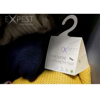 EXPEST 除衣蛾專殺 家用衣蛾誘捕滅小飛蛾家用 一盒兩片裝 生活 滅小飛蟲 室內家用-細節圖3