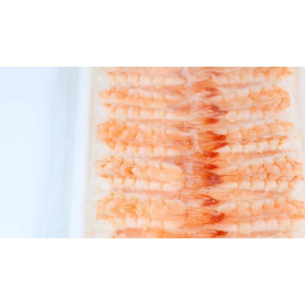 壽司蝦-細節圖2