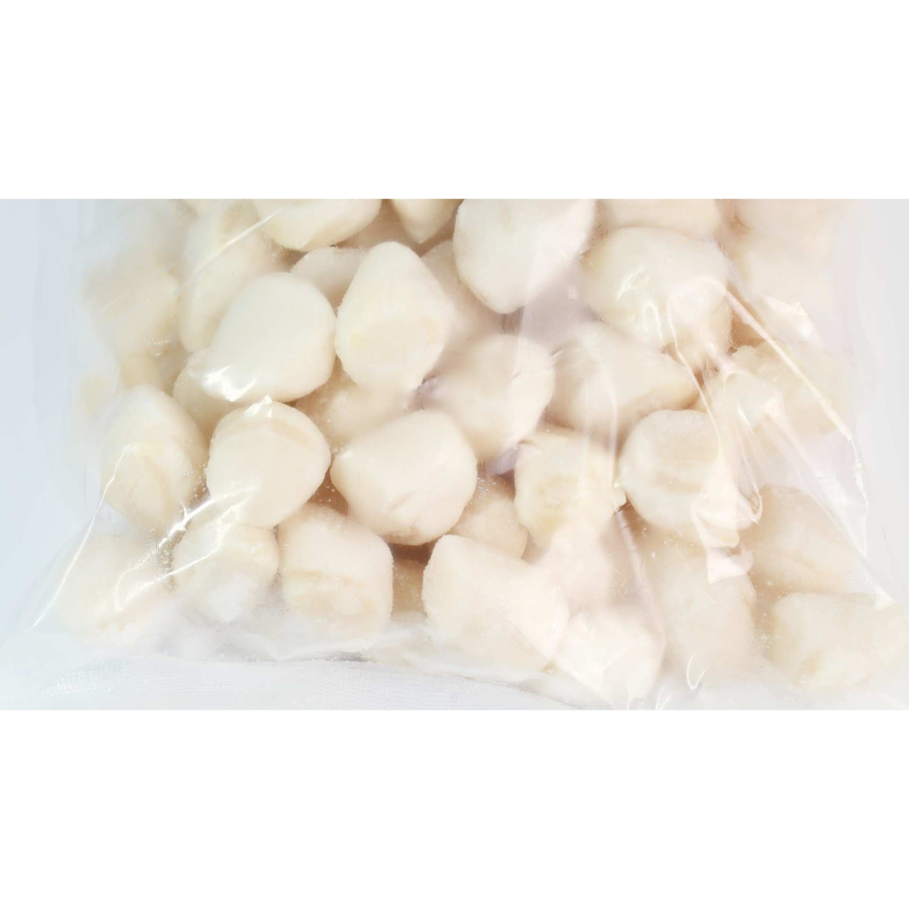 海灣貝柱-細節圖2