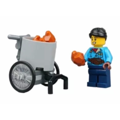 【積木2010】樂高 LEGO 地瓜攤車 (含女老闆及3顆地瓜) / 地瓜 攤車 80109