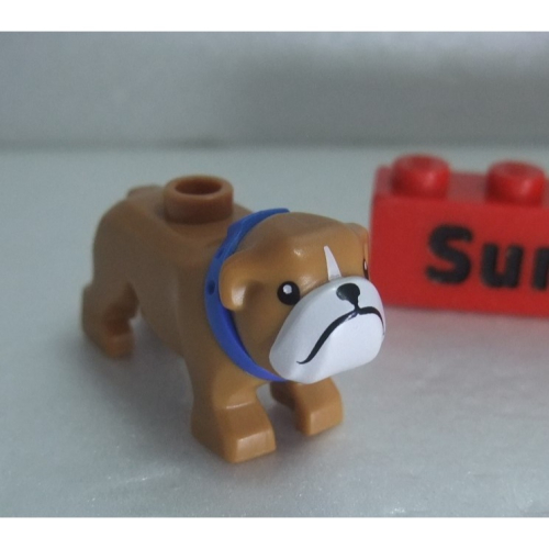 【積木2010】樂高 LEGO 牛奶糖色 鬥牛犬 / 法鬥 / 小狗 Bulldog 動物 (60258)